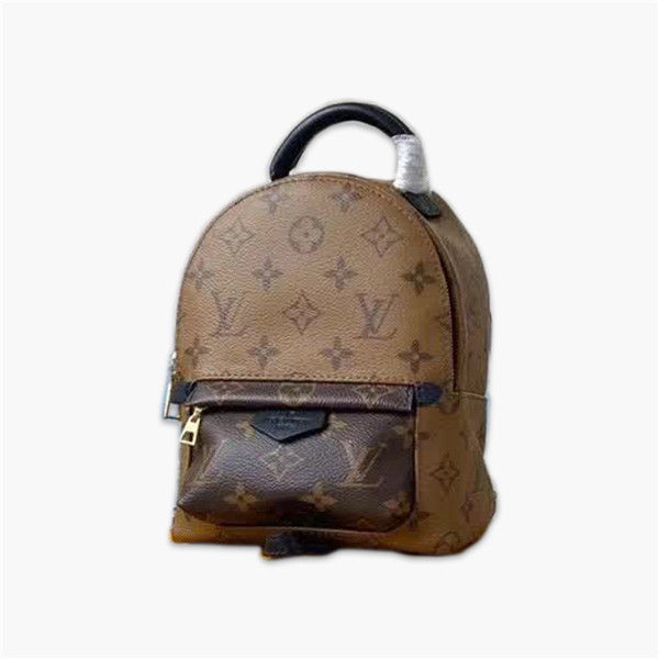 Lv palm springs 2025 mini reverse monogram